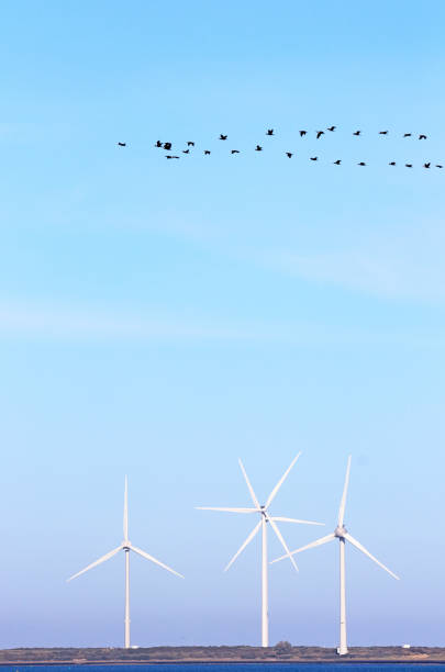 istock Eastern Scheldt nature reserve in Zeeland, Netherlands 1436414985