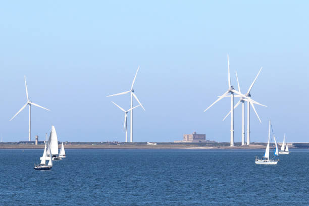 istock Eastern Scheldt nature reserve in Zeeland, Netherlands 1436415244