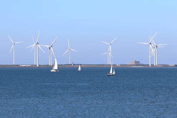 istock Eastern Scheldt nature reserve in Zeeland, Netherlands 1436415671