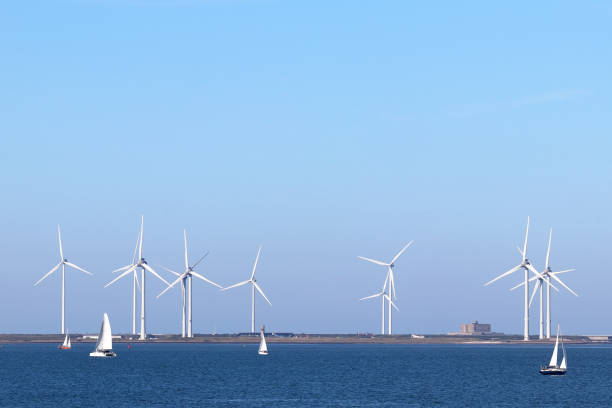 istock Eastern Scheldt nature reserve in Zeeland, Netherlands 1436415886