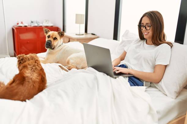 istock Young hispanic woman using laptop sitting on bed with dogs at bedroom 1436418319