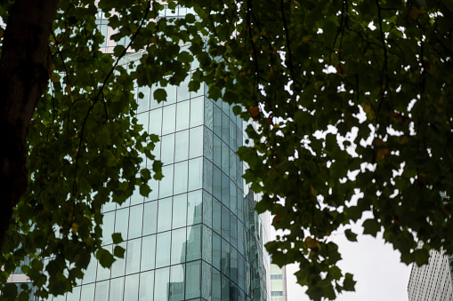 Modern office building with glass facade near city park