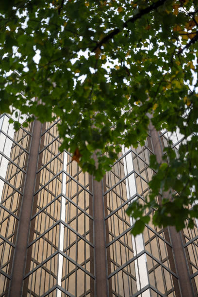 istock Details of a financial district 1436420168