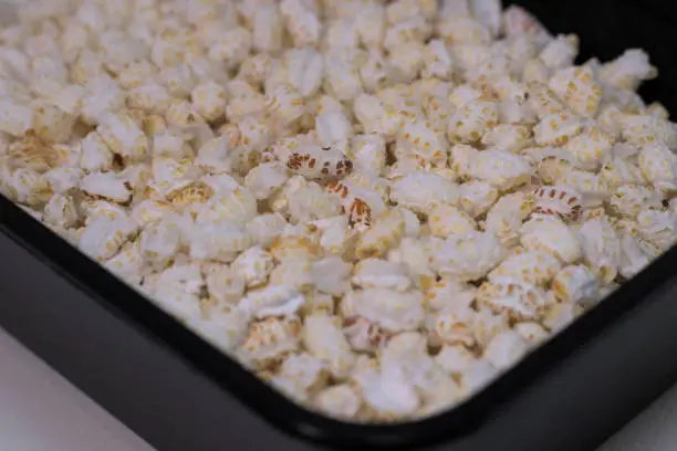 Khoi or Puffed rice. Traditional Bengali food