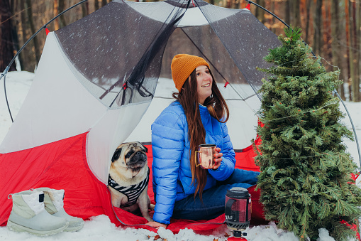 Front view of a happy woman in yellow hat and blue jacket camping with her cute pug in the snowy woodland, sitting in the tent by the Christmas tree having a morning coffee during the Christmas time