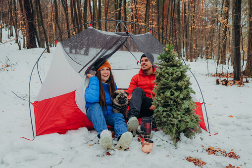 Front view of a smiling woman and man in warm colorful clothing camping with their cute pug in the snowy woodland, sitting in the tent by the Christmas tree during the Christmas time