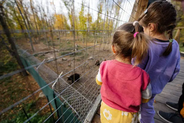 Photo of Two sisters looking at bears from bridge.