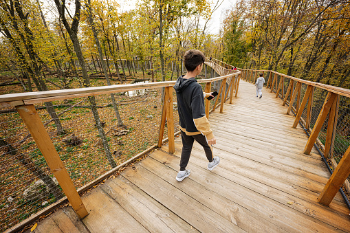 Boy walking at wooden bridge in autumn forest.