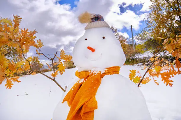 Photo of Snowman portrait made with oak branches, hat and scarf dressed and carrot as nose, snowed park with cloudy and sunny sky