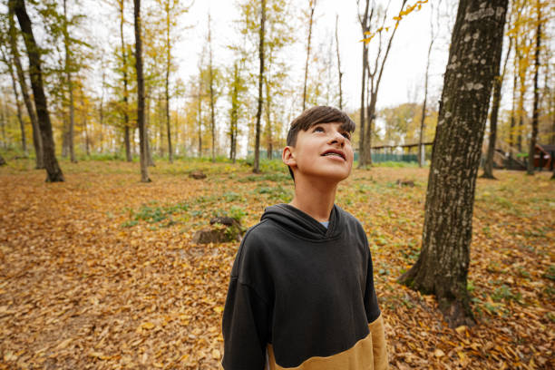 istock Teenage boy looking above in autumn forest. 1436423037