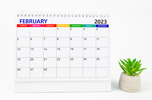 February 2023 Monthly desk calendar for 2023 year with plant pot isolated on white background.