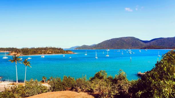 istock Shute Harbor, Airlie Beach 1436426907