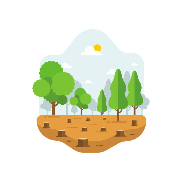 illustrazioni stock, clip art, cartoni animati e icone di tendenza di deforestazione concetto di disegno della terra illustrazione vettoriale - disboscamento