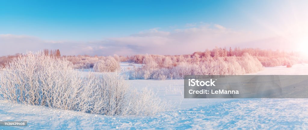 Panoramic view of the white snowy trees in natural park Panoramic view of the white snowy trees in natural park. Beautiful scenic view. Winter Stock Photo