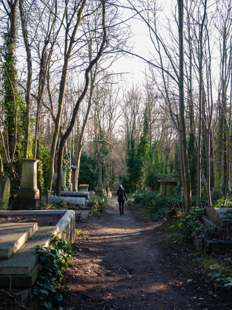 spaziergang auf dem öffentlichen friedhof - highgate cemetery stock-fotos und bilder