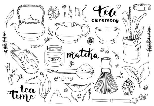 ilustrações de stock, clip art, desenhos animados e ícones de japanese ceremony with matcha. hands holding tea items. vector illustration doodles, set of tea party in thin line art sketch style - green tea illustrations