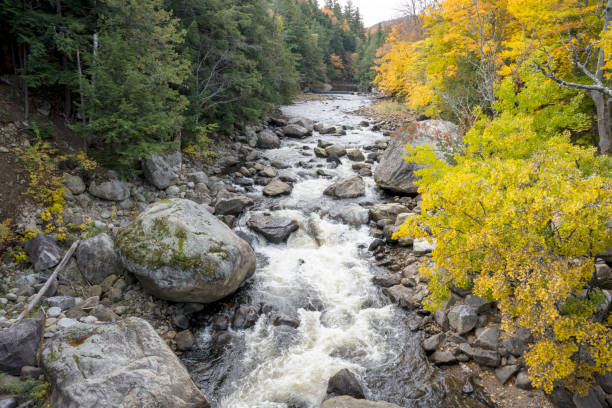 istock View of a river in autumn 1436440081