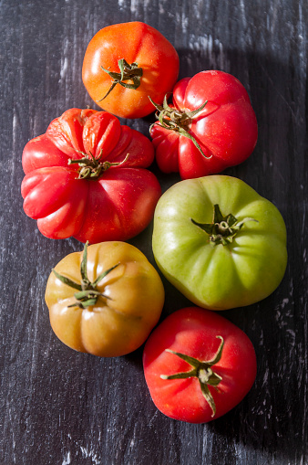 Freshly Picked Organic Tomatoes