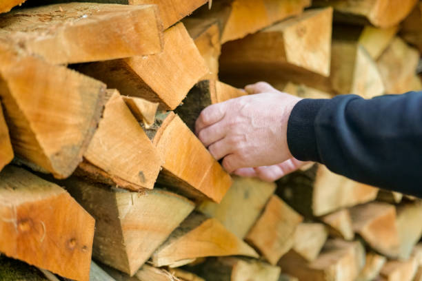 istock Firewood and mens hands.solid fuel.Male hands pulling a log from a woodshed.Heating season in Europe.Prices for firewood and heating. 1436442521