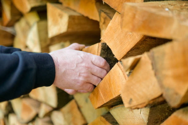 istock Firewood and mens hands close-up. solid fuel.Male hands pulling a log from a woodshed. Heating season..Prices for firewood and heating. 1436442530