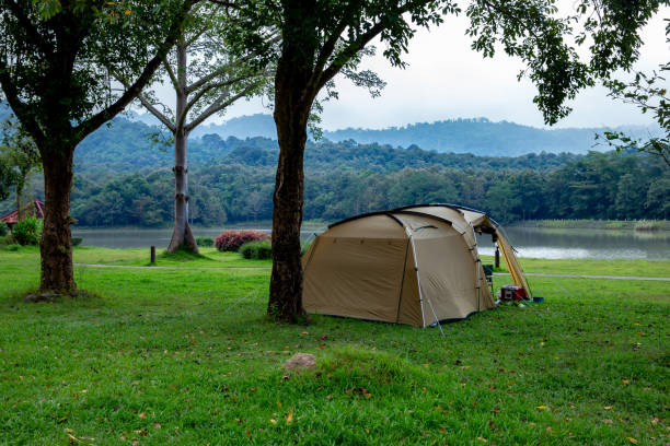 Camping, Forest, Tent, Backgrounds, No People stock photo