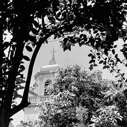 Exterior Black and white photo of church bell tower between trees at São Paulo - Brazil. Our Lady of Carmel Church. Cross on top.
