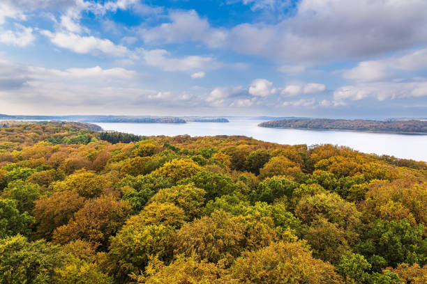 istock Trees in autumn on the island Ruegen, Germany 1436455719