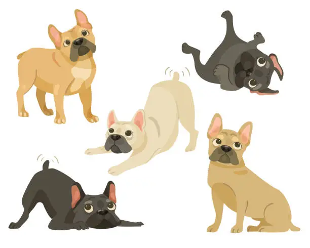 Vector illustration of Cute French bulldogs cartoon illustration set