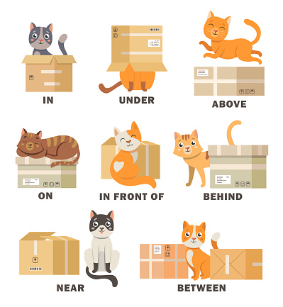 Cat in different poses with box cartoon illustration set. Visual representation of English preposition of place for children. Pet above, behind, between, beside, near box. Vocabulary, studying concept