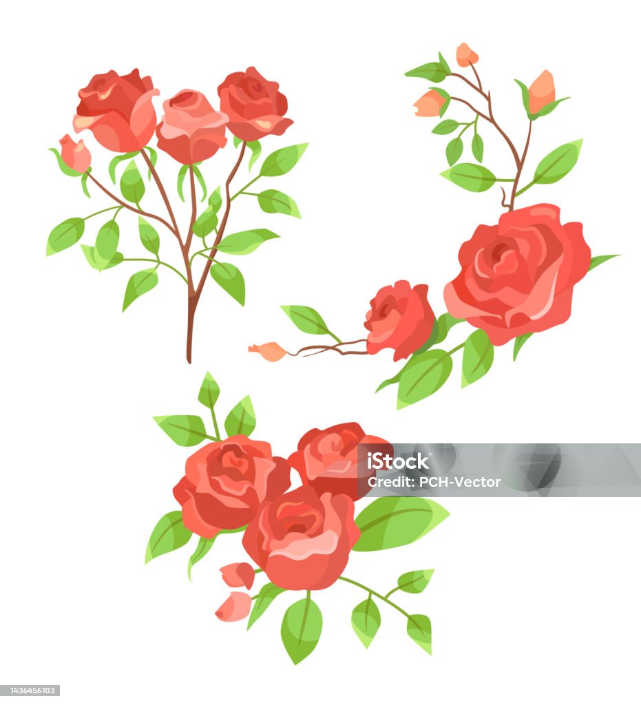 Vetores de Florescendo Rosas Vermelhas Ramos Conjunto De Ilustração De  Desenho Animado e mais imagens de Alimento Transgênico - iStock