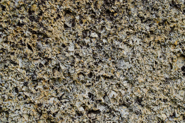istock pattern gray color of modern style design decorative uneven cracked real stone wall surface 1436460288