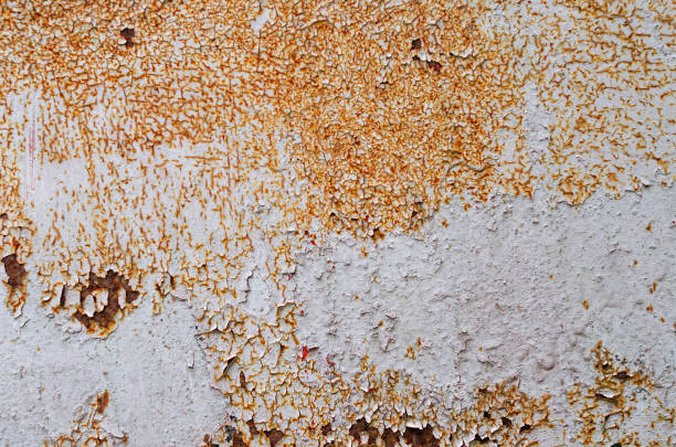 Old rusty sheet of iron. Close-up. Background. Texture. An old ferrous sheet is covered by disseminations of blight.