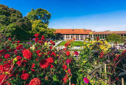 Karlsruhe, Germany. August 30, 2014. Summer View of the botanical garden in Karlsruhe.