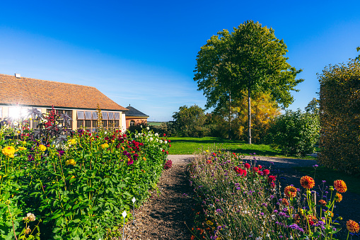 flowers in the garden park of Belvedere in Weimar, Germany