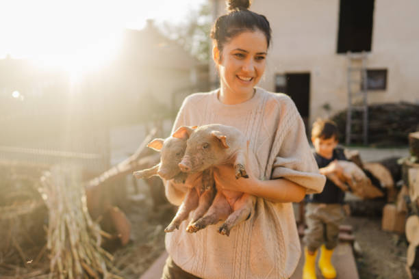 Portrait, smiling young filipino woman pig farmer in rural philippines holding cute piglet, wearing straw hat, southeast asia, asian people happy