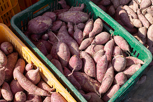 Purple sweet potato in plastic box at farmer market