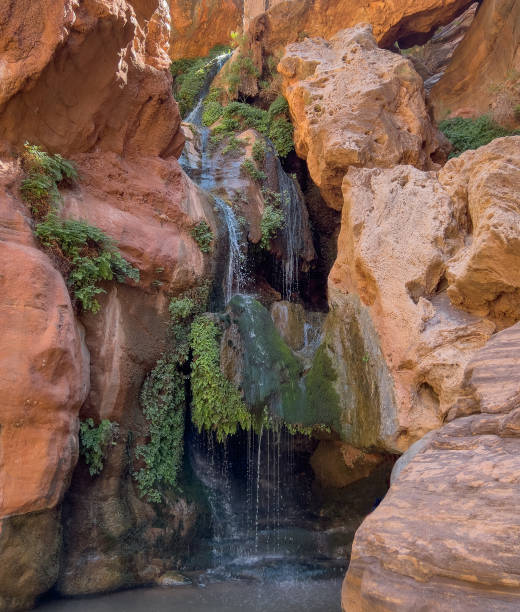 istock Secret Waterfall Hiking the Grand Canyon 1436468770