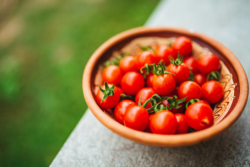 Cherry tomatoes. Organic food. Home grown food