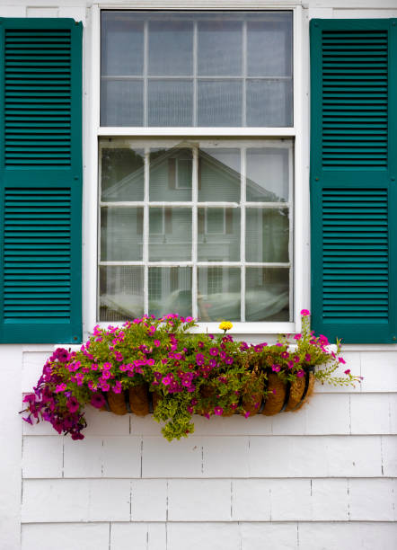 Green lovely flower pots with hearts and colorful flowers in Burano, Italy