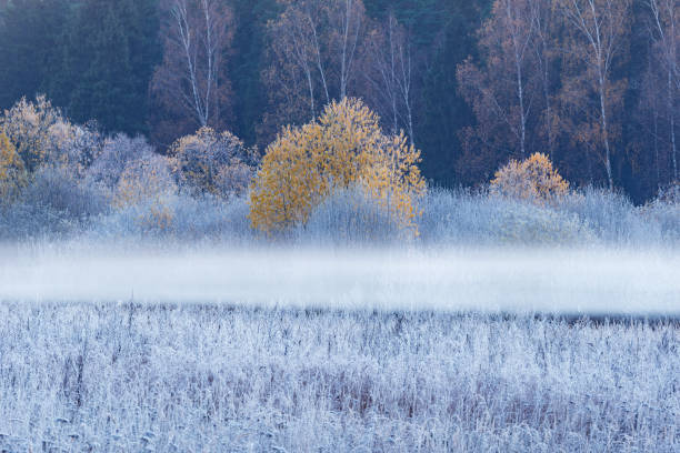 istock Fog above the meadow at autumn morning. Karelia. 1436479046
