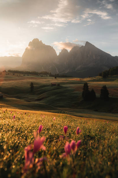 istock Alpe di Siusi, Seiser Alm, Dolomites, Italy 1436479140