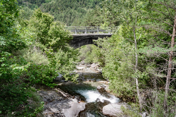istock Mountain stream rushing through a forest and over boulders. 1436482684