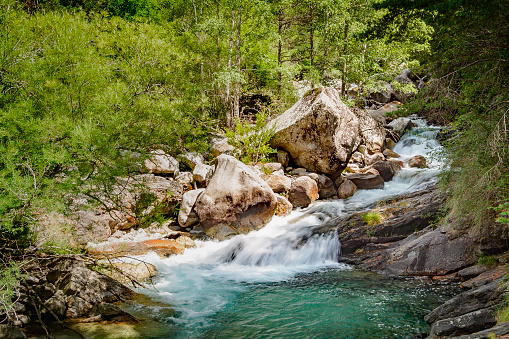 Mountain stream rushing through a forest and over boulders surrounded by trees.
