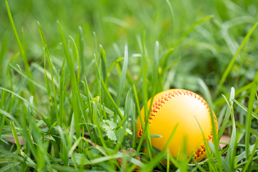 Baseball ball in green grass