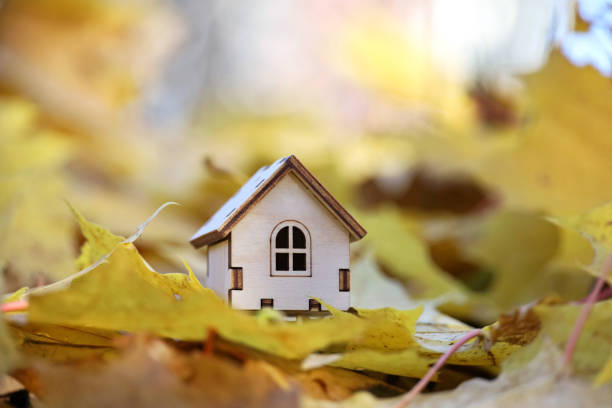 istock Small wooden house model on maple leaves background 1436485698