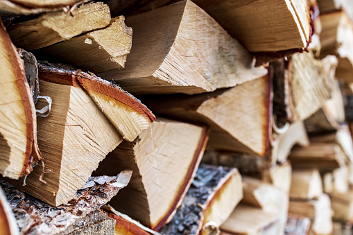birch split firewood close-up, blurred background, selective focus