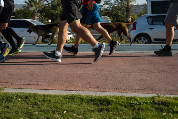 istock men are runnig focus on foreground two dogs are background 1436492151