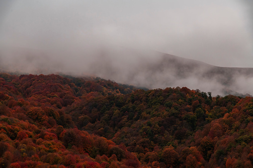 Autumn landscape  fog in the forest  and mountains.