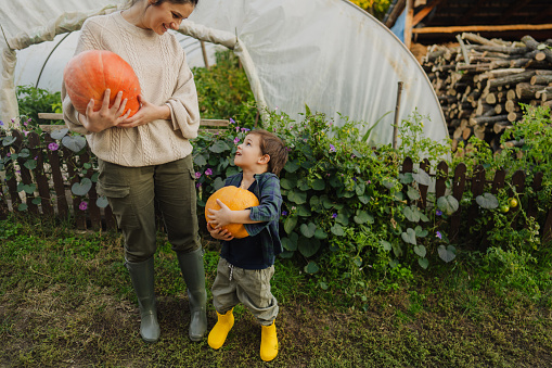 Photo of a young mother and her son holding pumpkins that they just picked from their greenhouse.