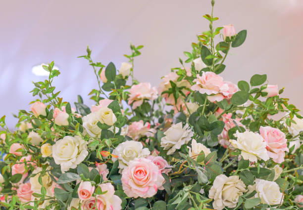 istock Delicate background of white and pink roses 1436498920